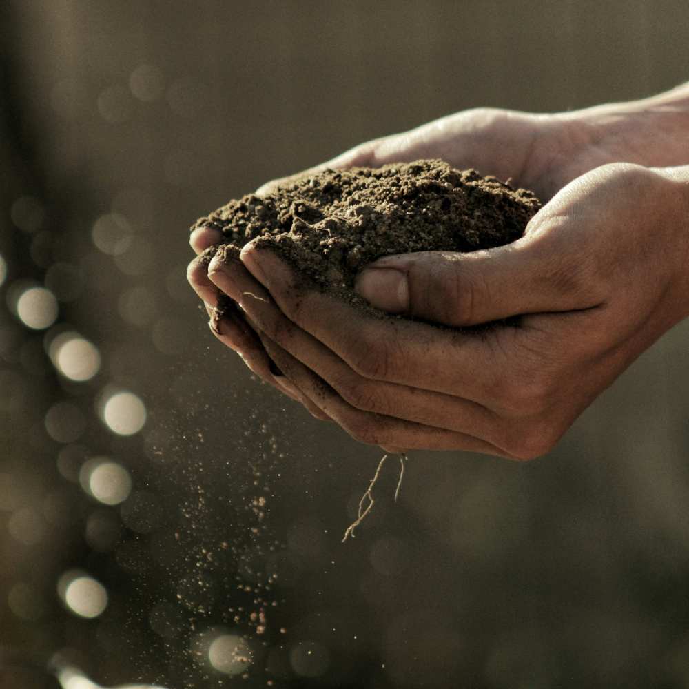 étude géotechnique à la main